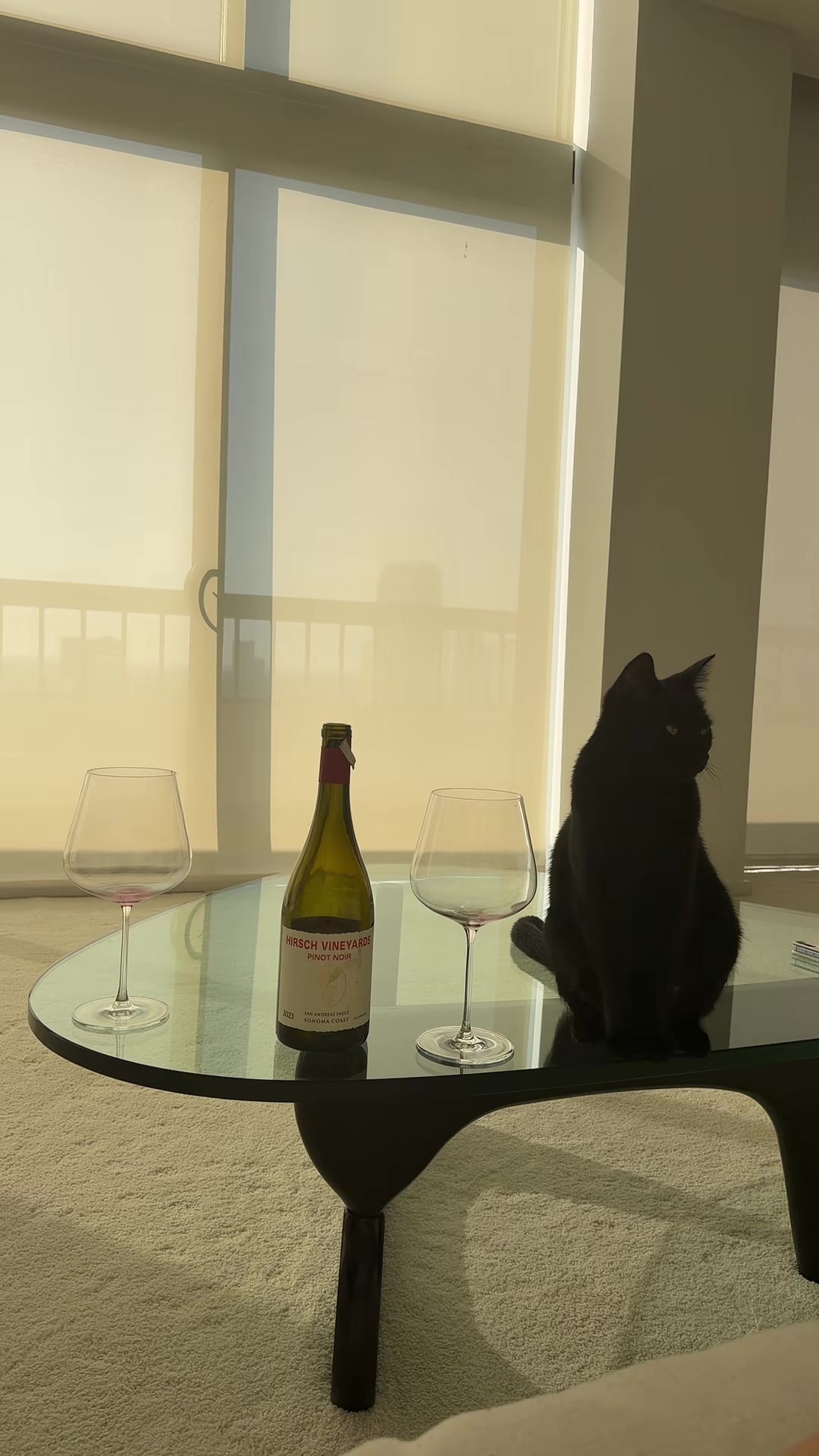 @Shannon Sommelier