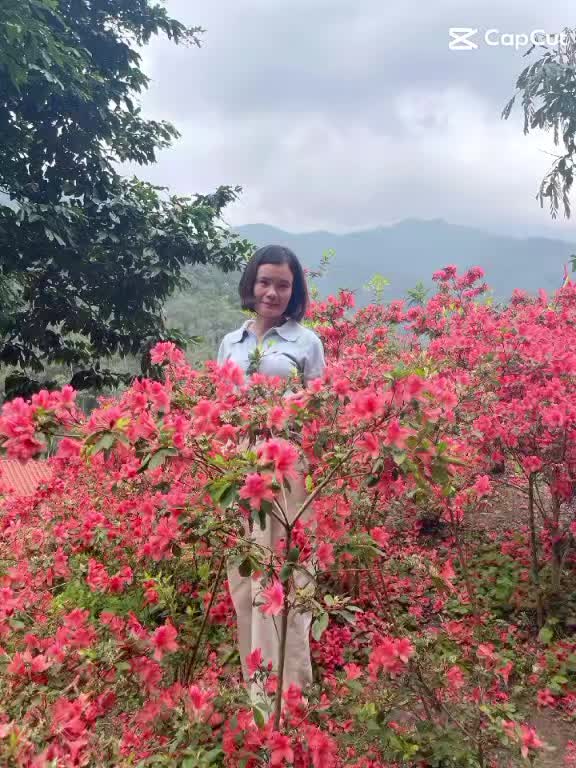 @T.Nga