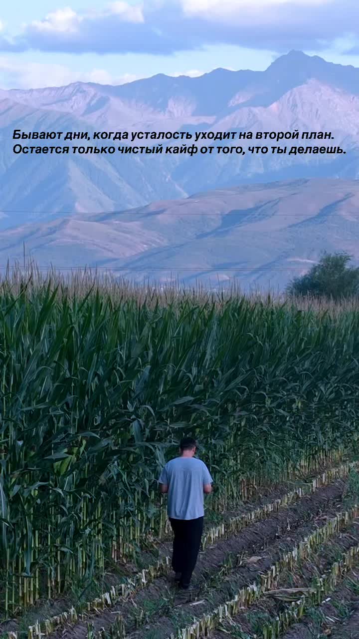 @Жанболат Тагаев