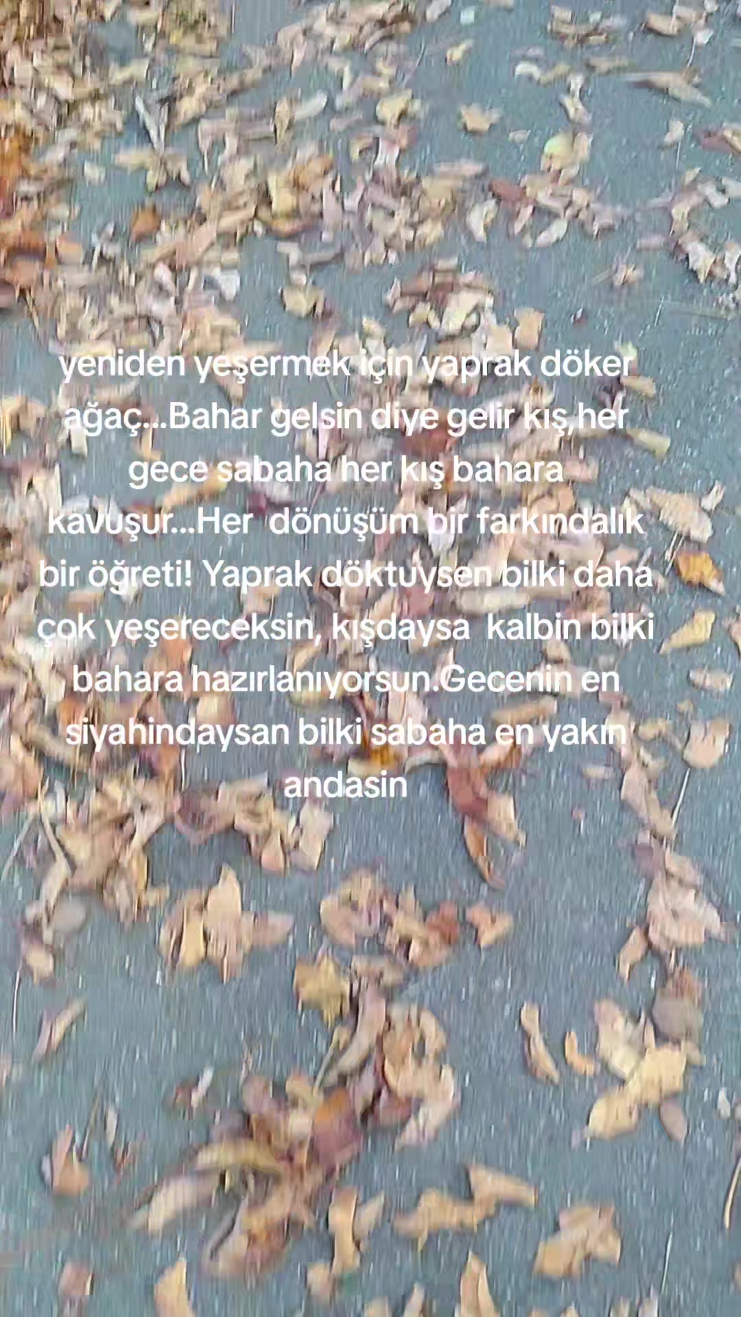 @Gülşen
