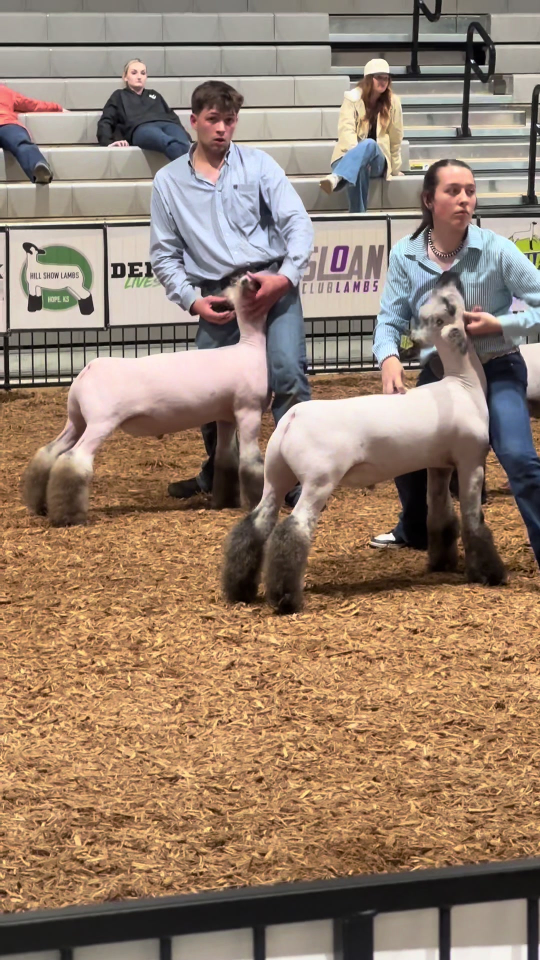 @Craft Livestock 2.0