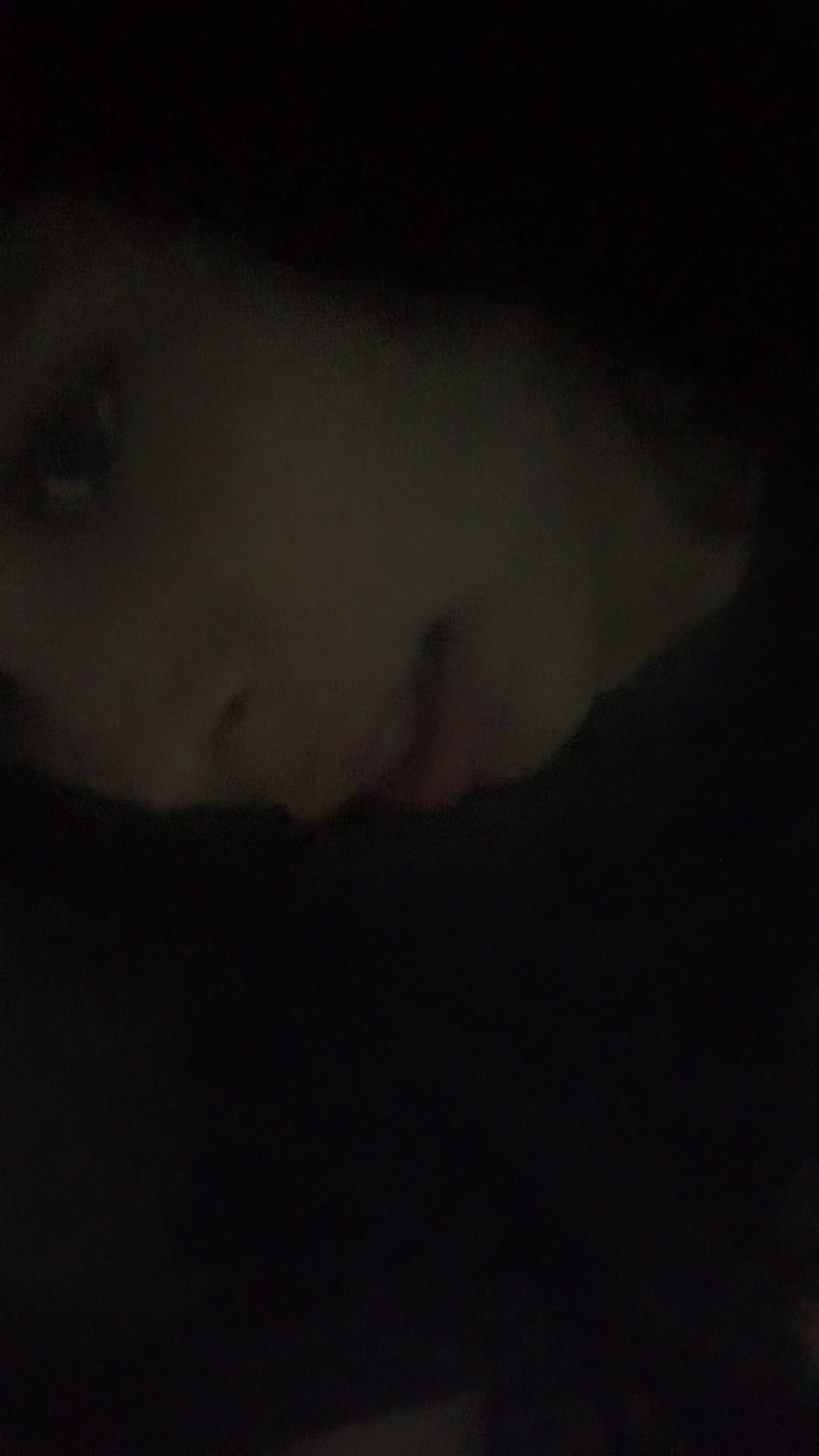 @foquinhasgordasfofas