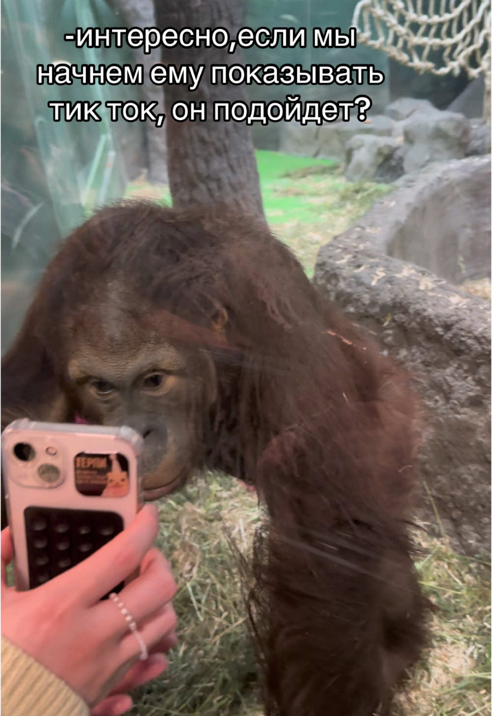 @słowl&yacute;y&yacute;