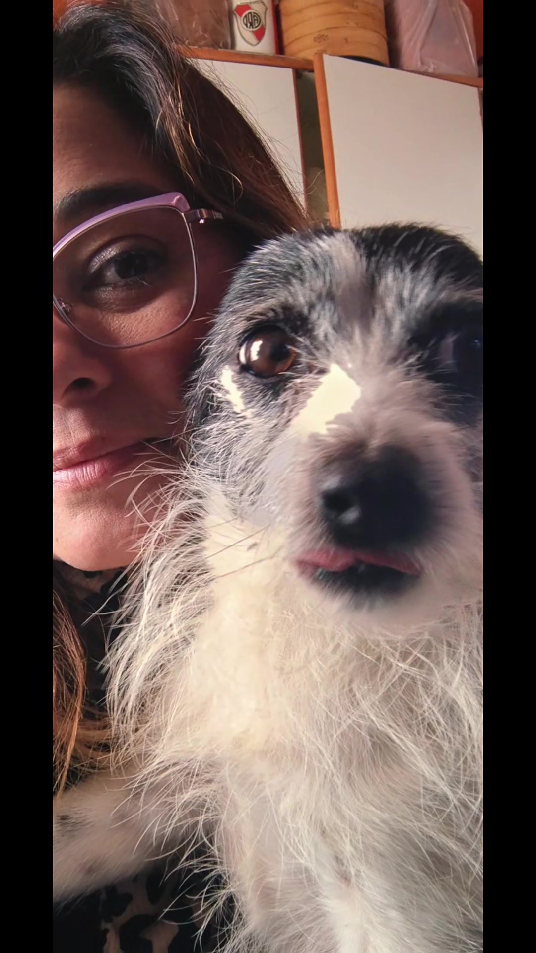 @li@PelusinyNeron🐾