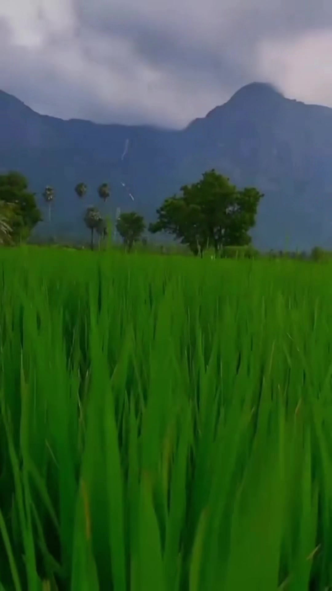 @❤️ഓർമകൾ❤️