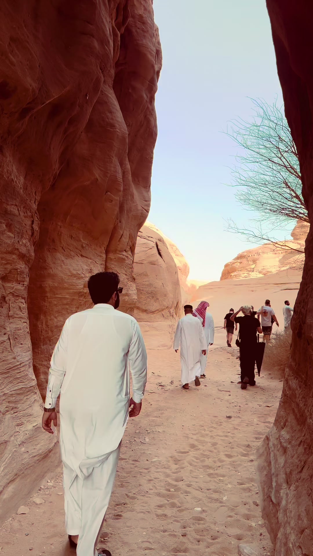 @سردار عمر زمان