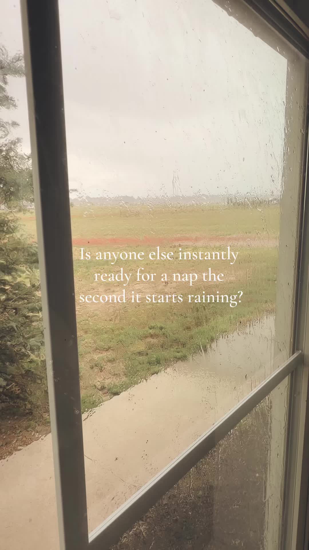 @🌻†HealthyHearted𝓂♡𝓂𝓂𝒶†🌻