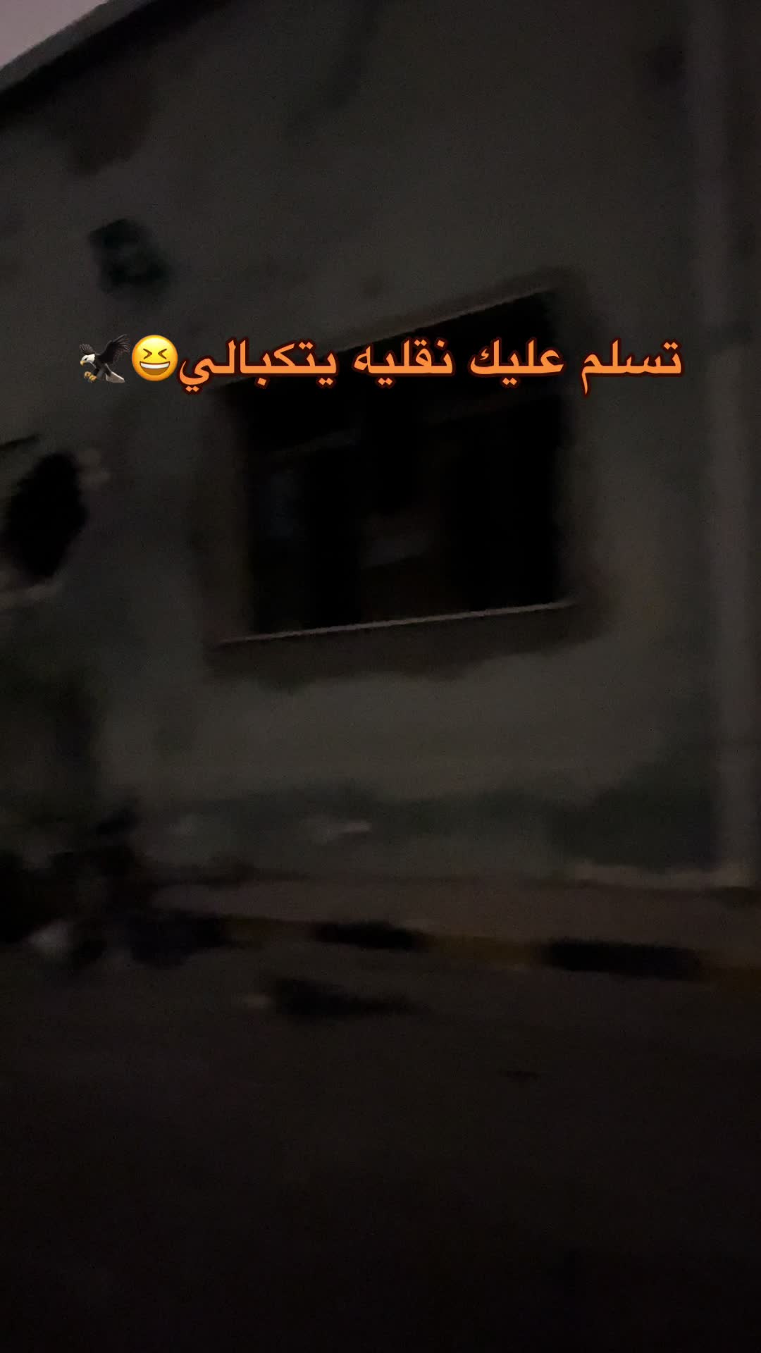 @ولد النقليه🥷