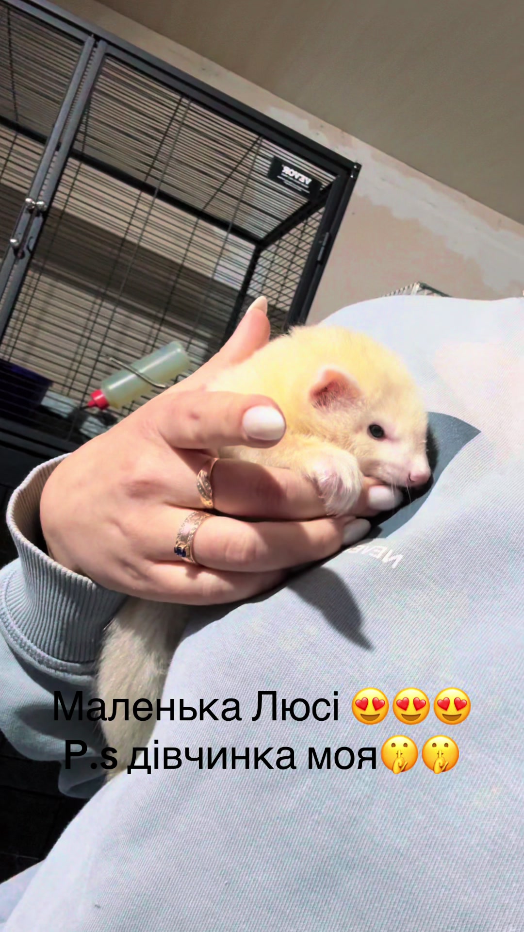 @🦦 Хорьки Київ 🇺🇦