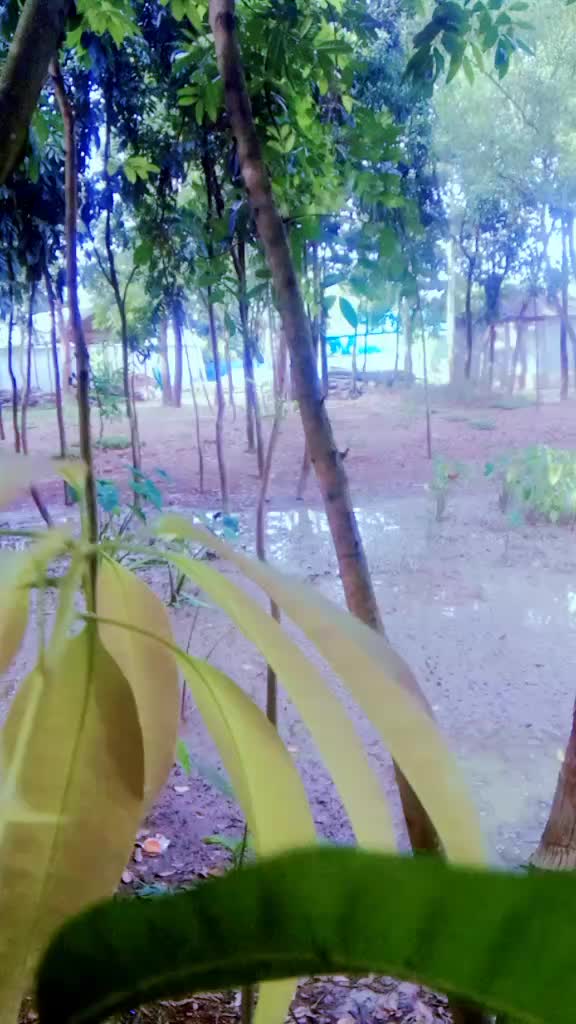 @❤️শরাফ উদ্দিন হৃদয়❤️