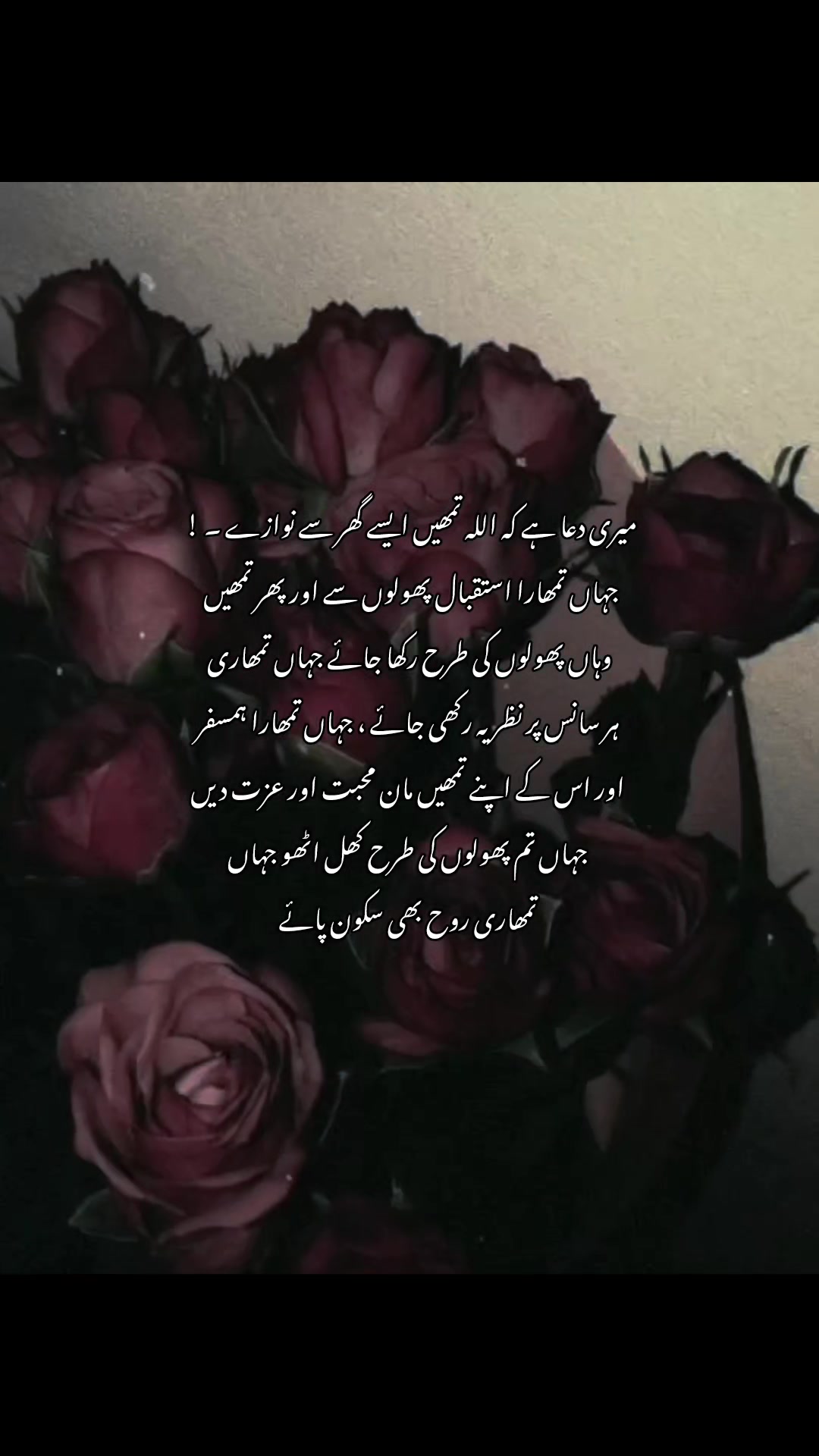@𝐀   𝐐   𝐒   𝐔   𝐔  🌷