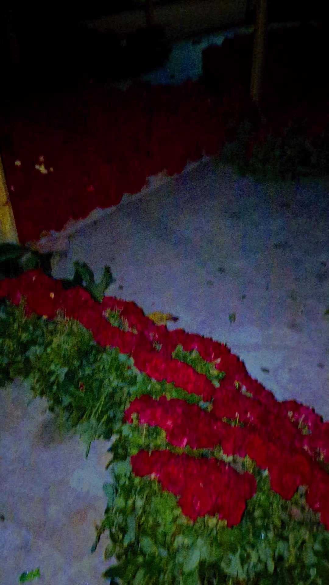 @গোলাপ গ্রাম 🔘