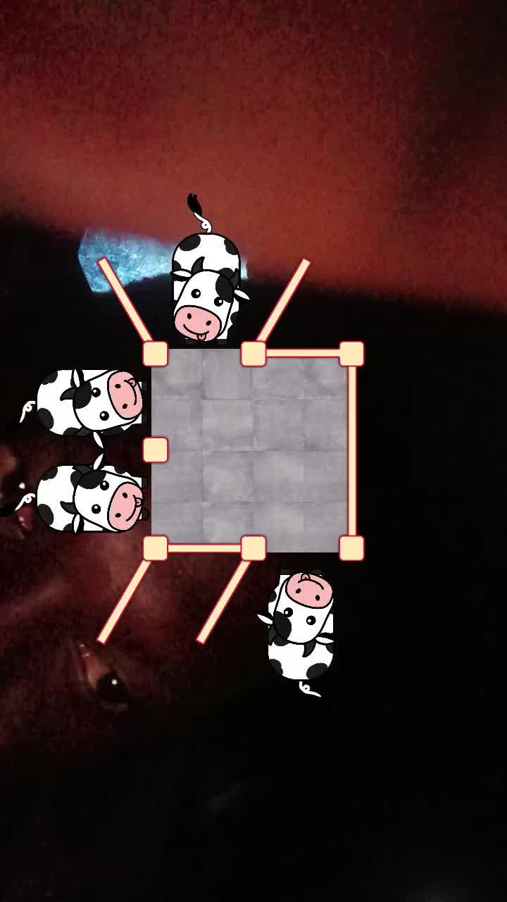 @yhawsurvivor