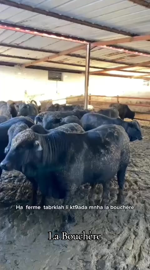 @La Bouch&egrave;re