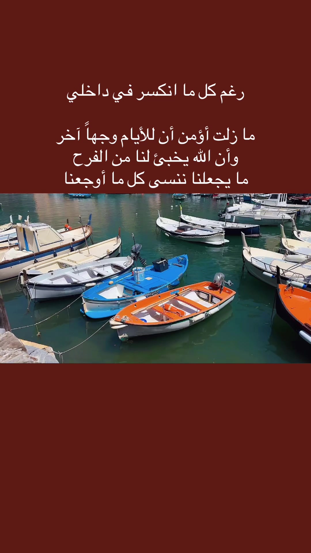@المجتهد