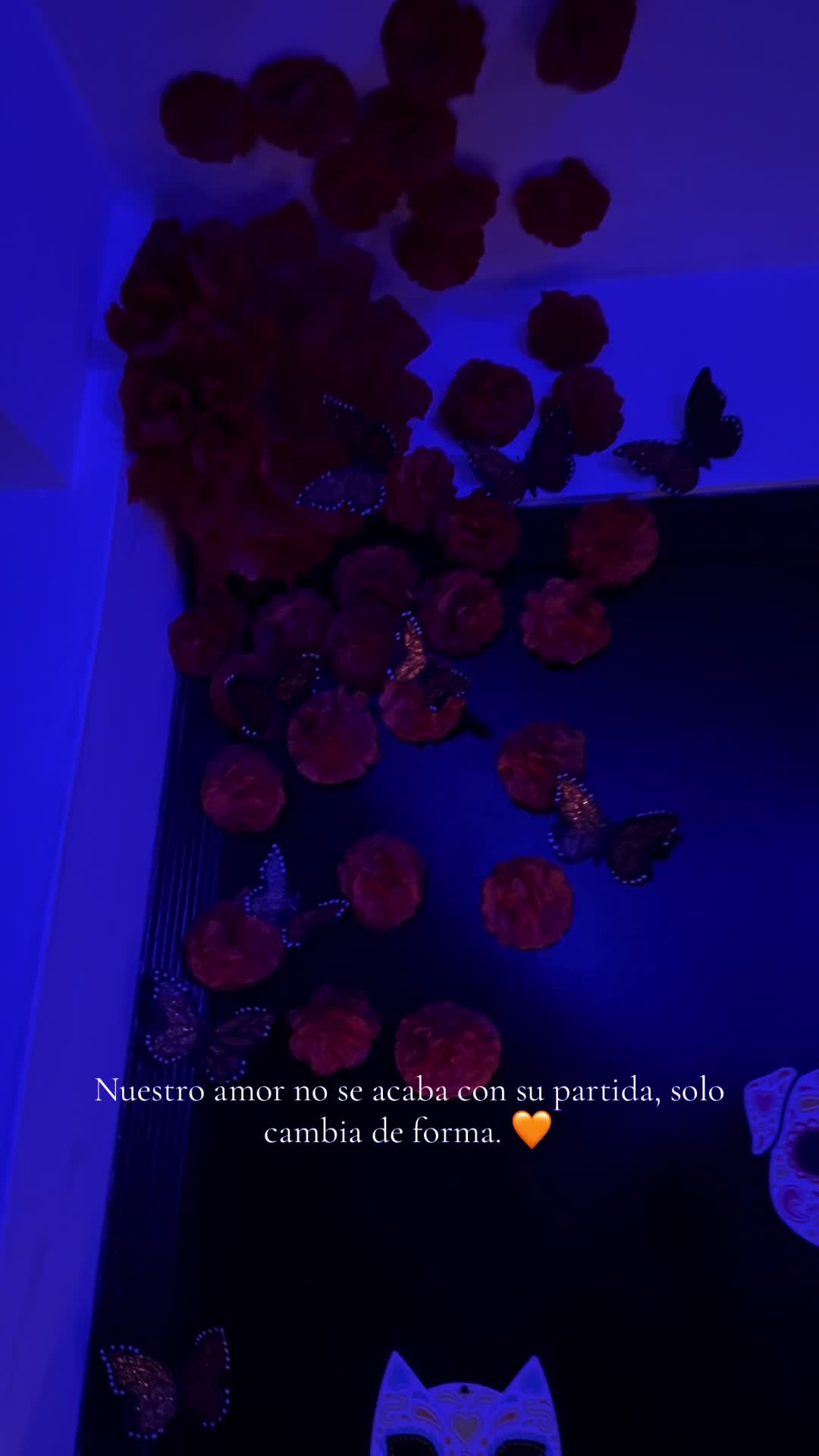 @Ashley Romero