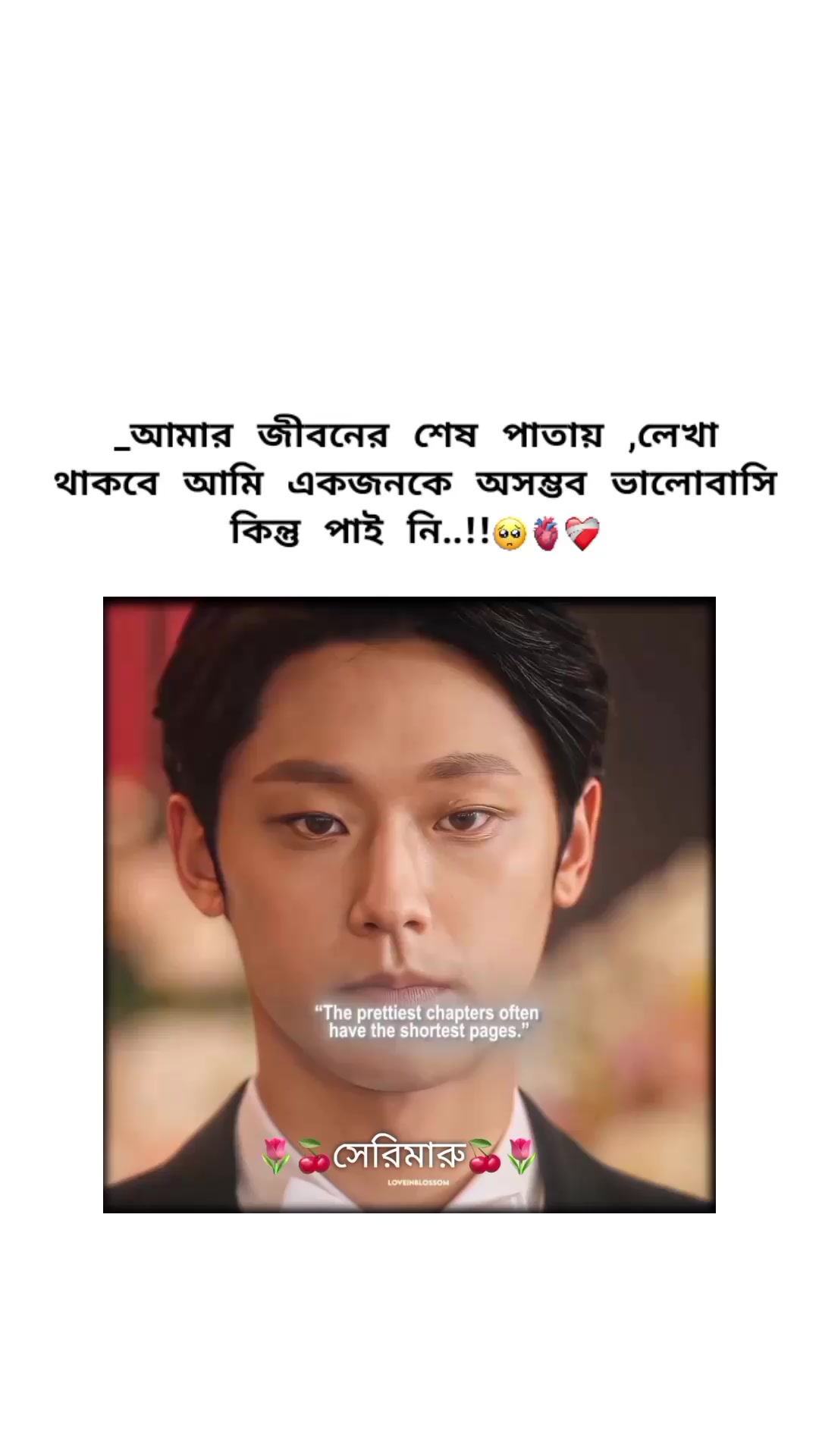 @🌷🍒সেরিমারু🍒🌷