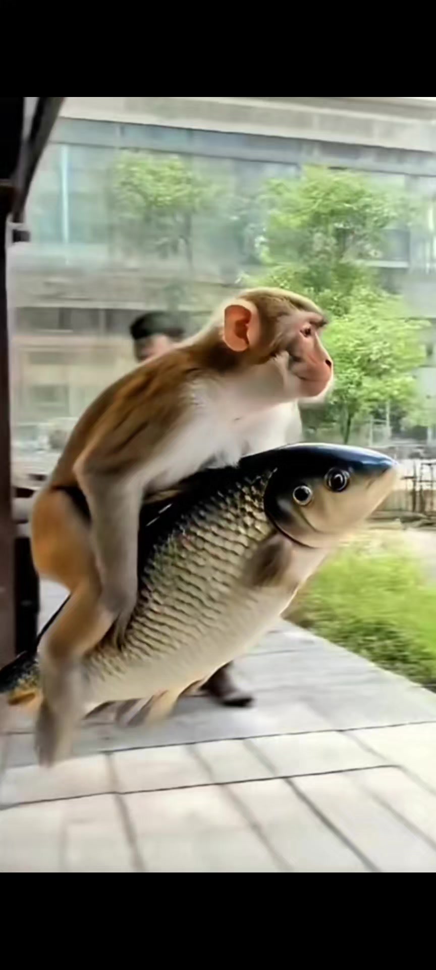 @monkeycaco77