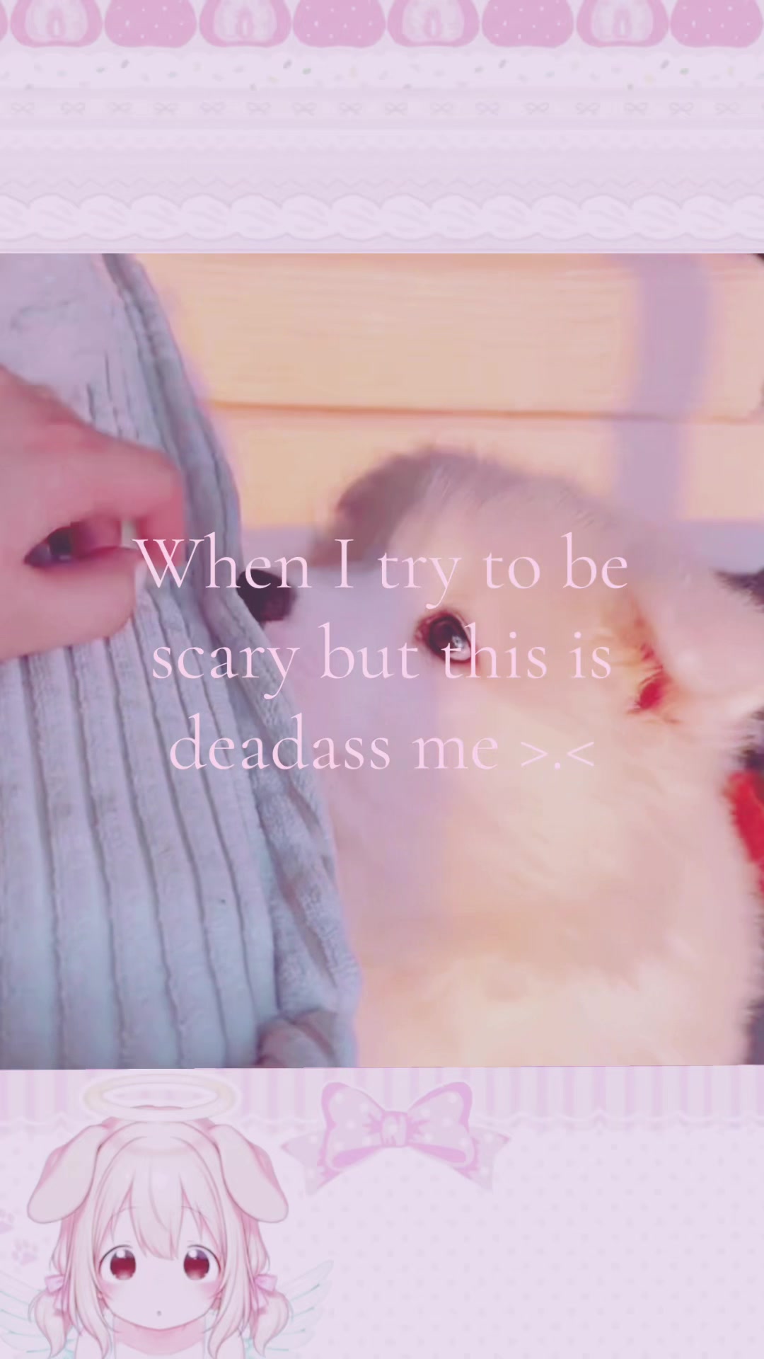 @mimi🐾