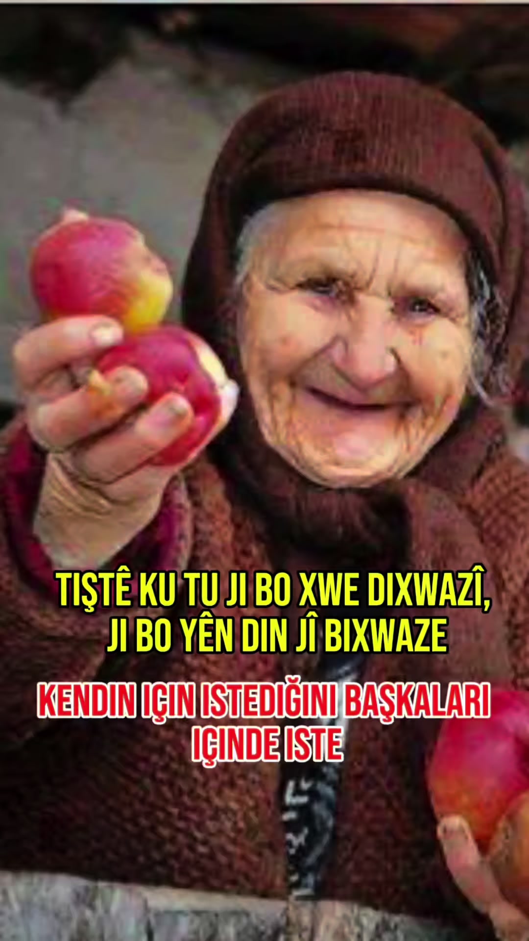 @Mehmet BUDAK