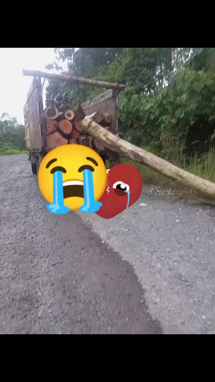 @Rabiatul Rabi