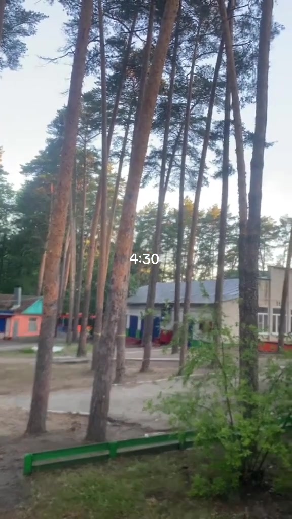 @нелч