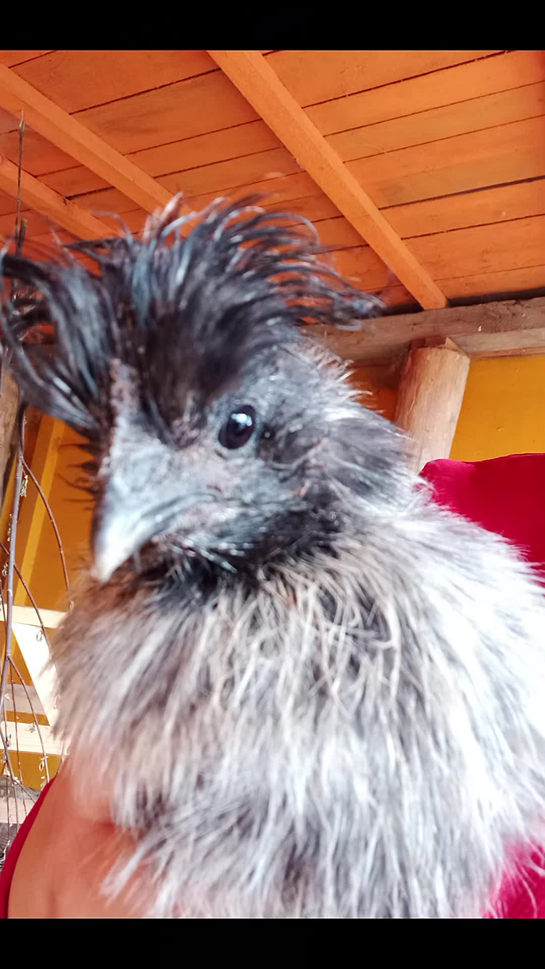 @🦚🆃𝓲𝓮𝓻🅿𝓪𝓻𝓴🆃𝓸𝓴🦚