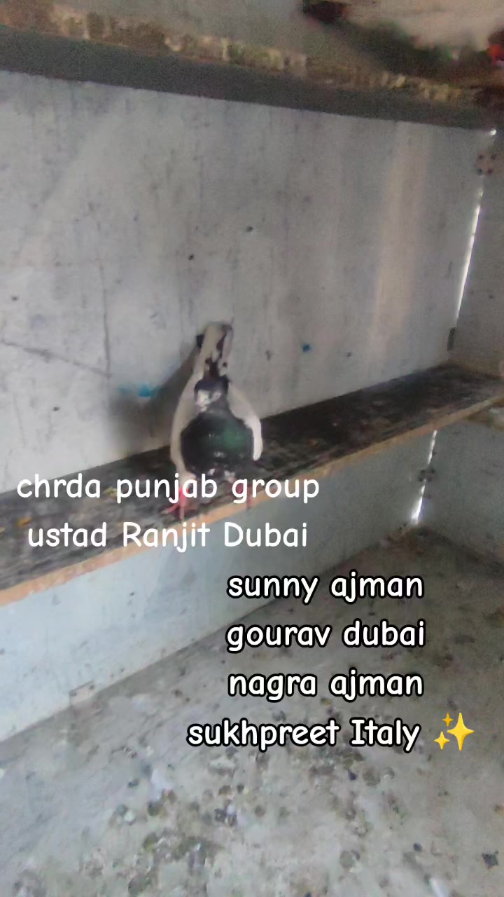 @Gourav Kumar