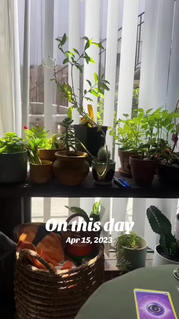 @Wetplantz