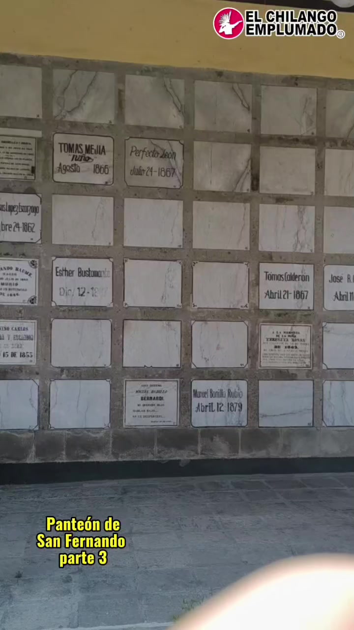 @El Anima de Coyoacan