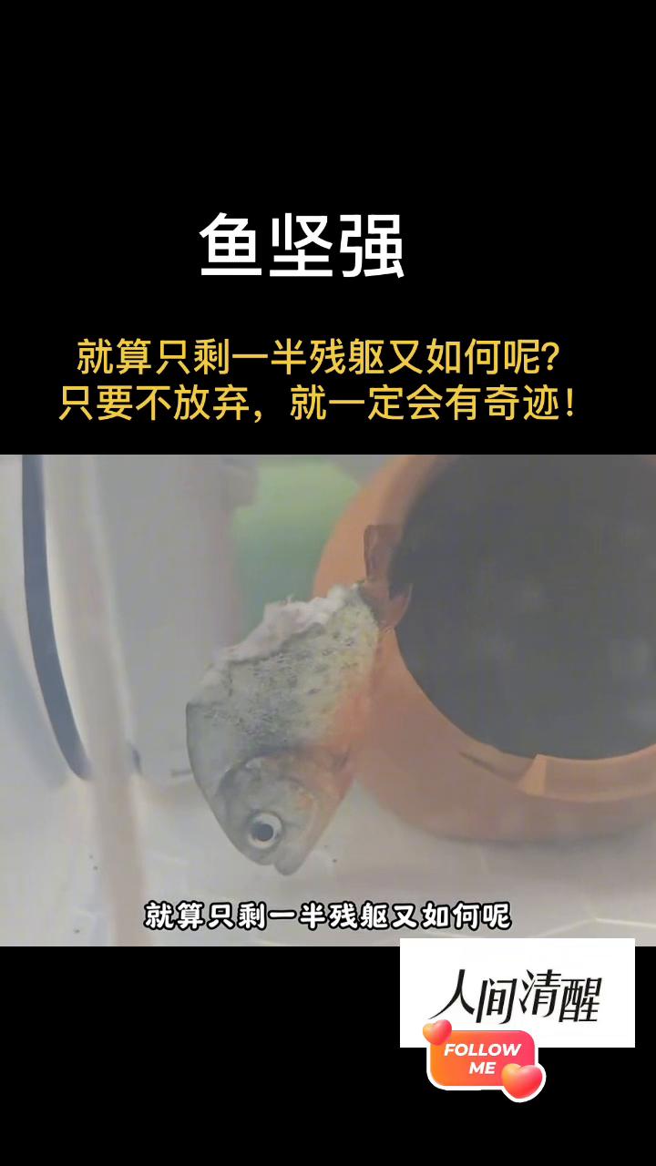 @人间清醒