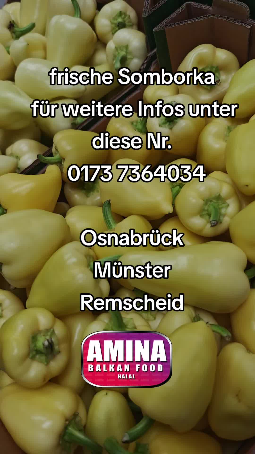 @AMINA Balkan Food
