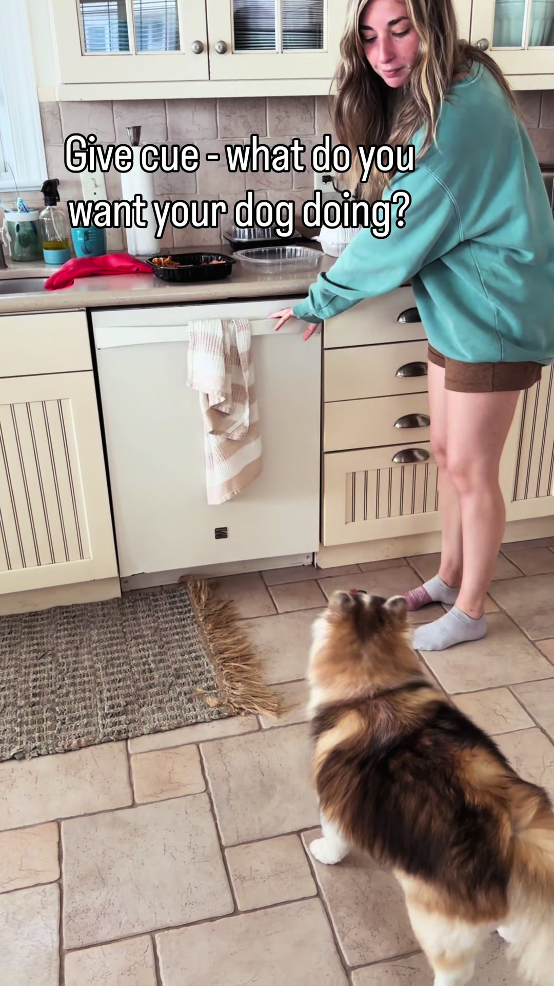 @KVK9