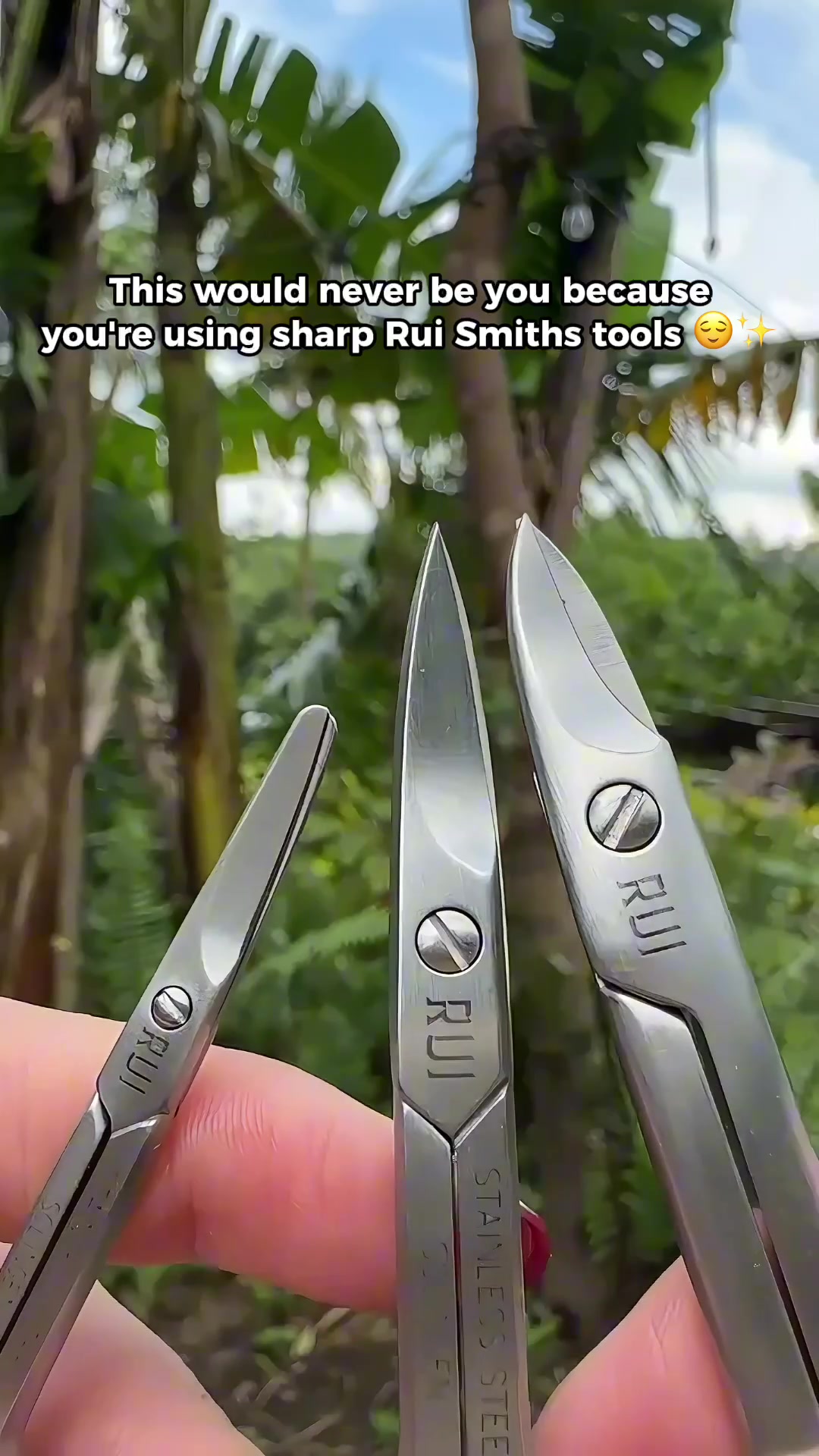 @Rui Smiths