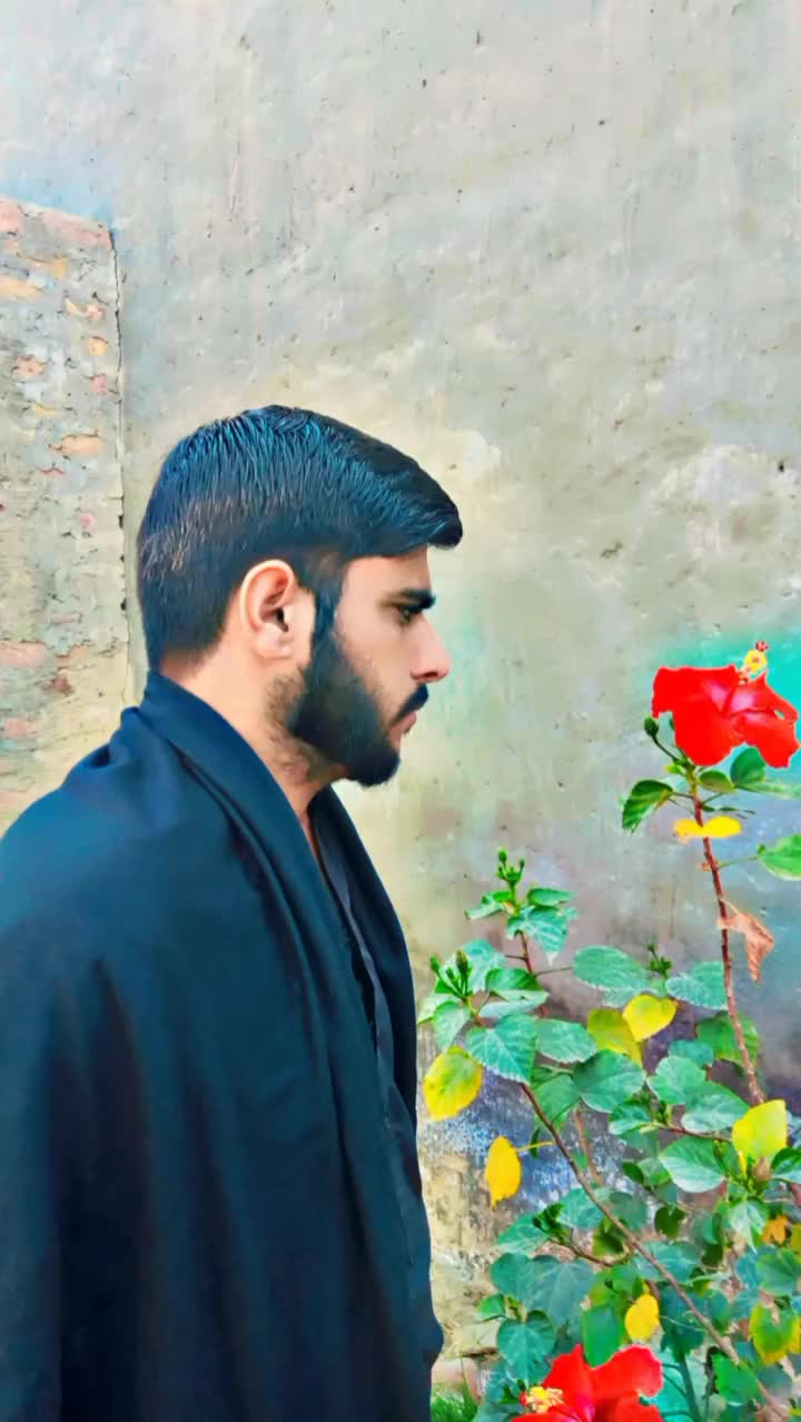 @اصغر مير شر