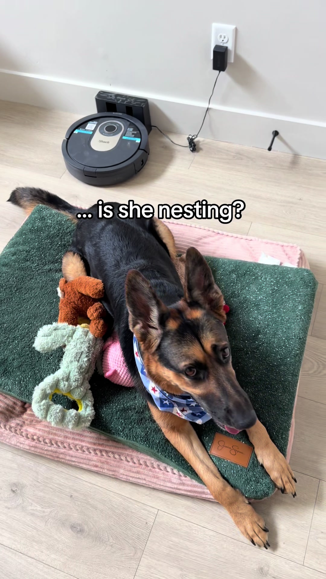 @Rory The Not-Working GSD