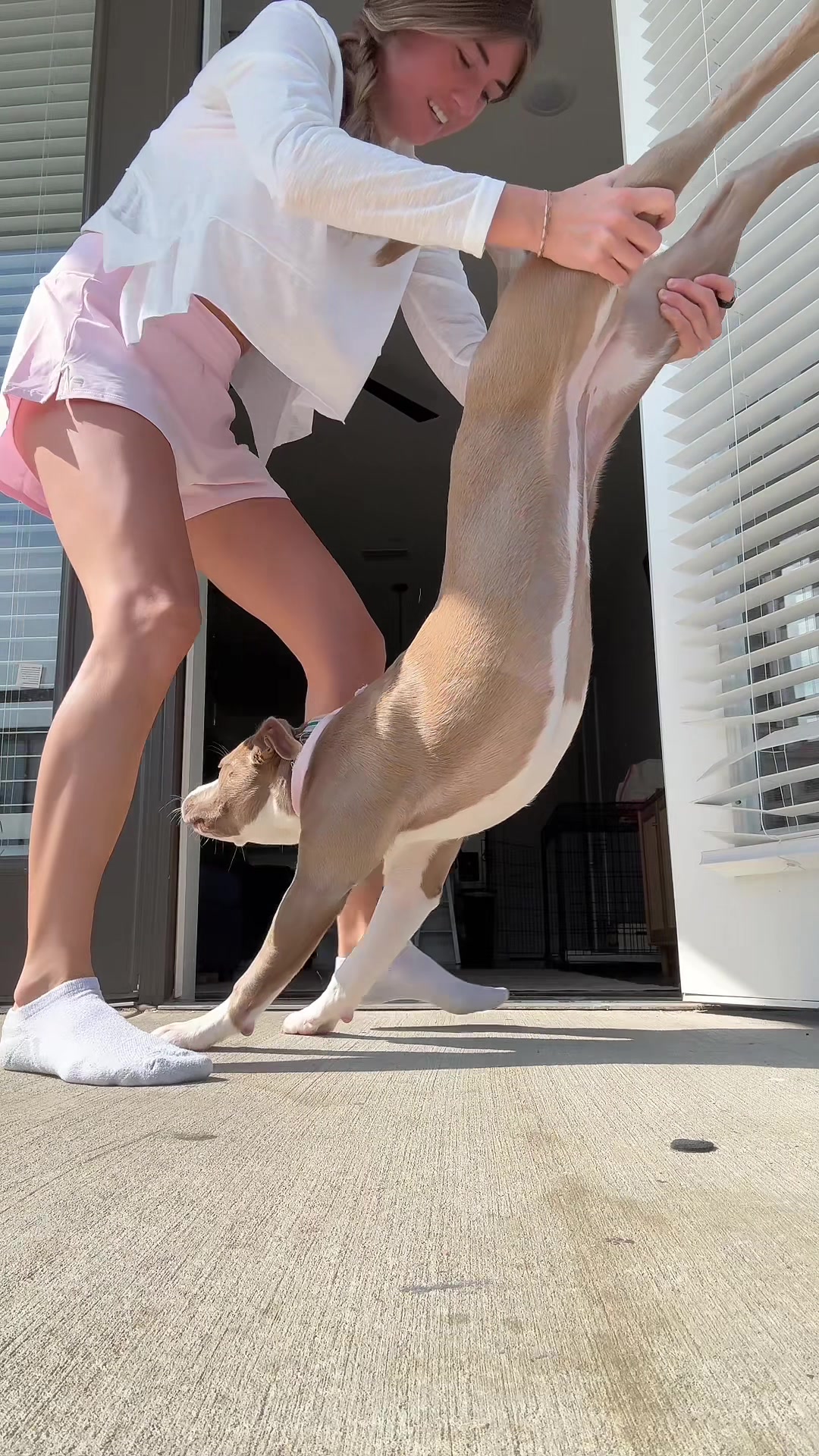 @Millie The Pitty