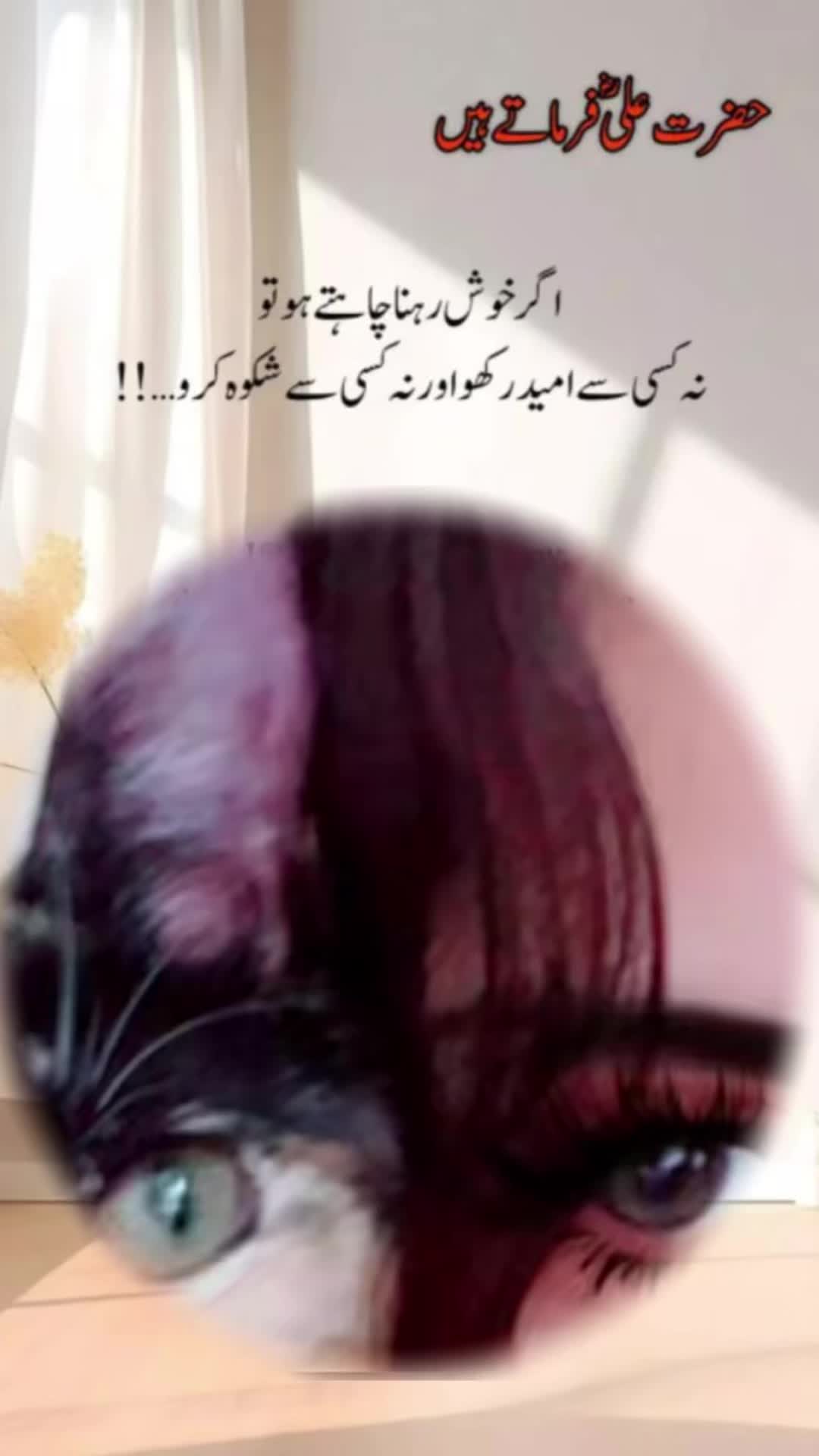 @🇺🇸Nimяa🌷Khan USA👸🏻💫