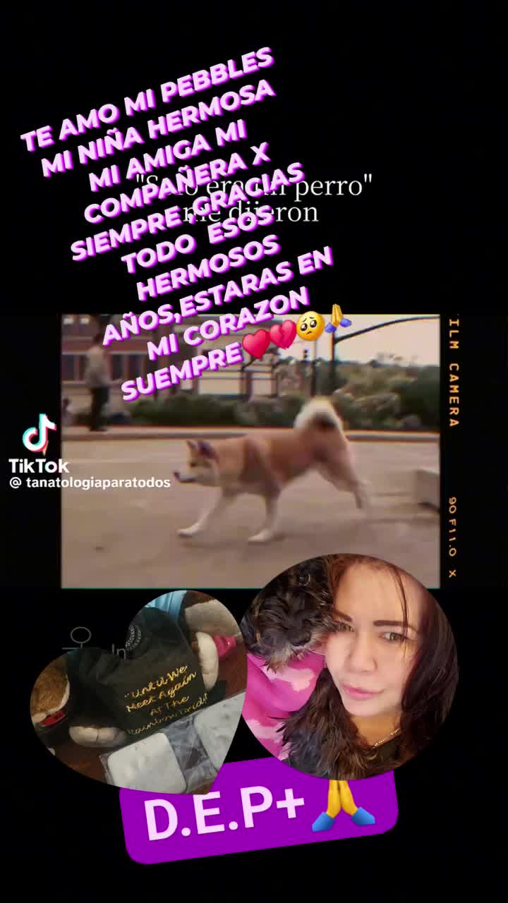 @estrella