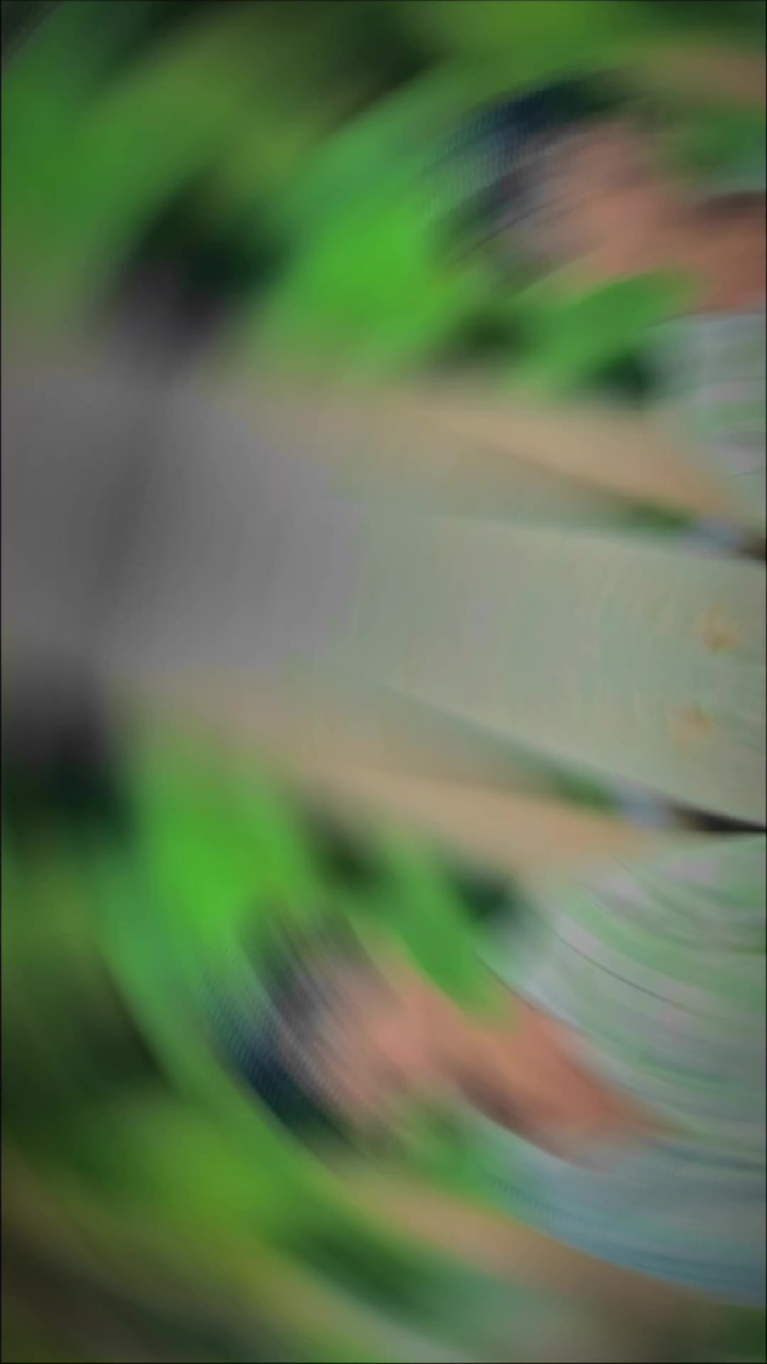 @*_S h a ล u m a_* ๐ผ๐พ๐