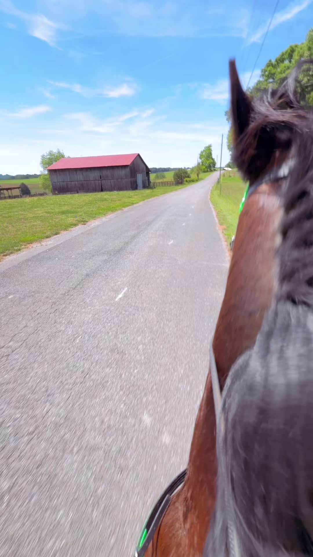 @⚡️ CO D I E ⚡️
