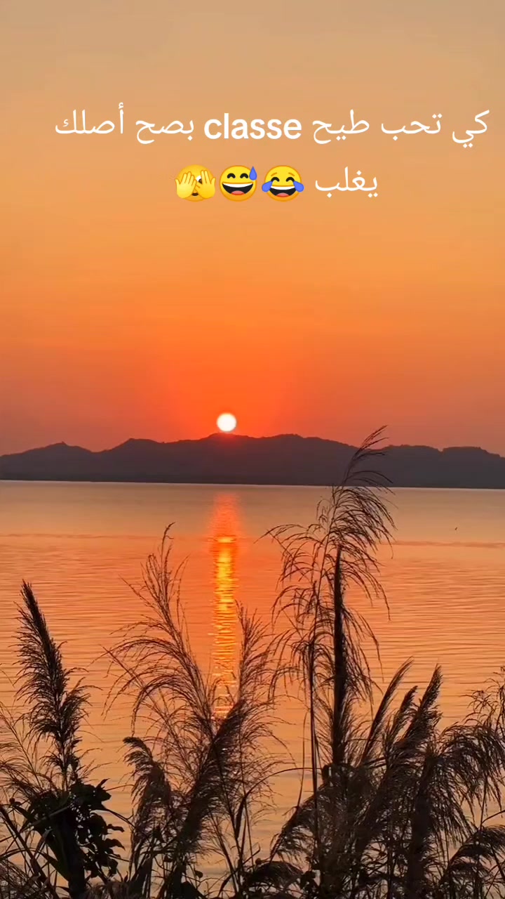 @L💙I❤️L💚I❤️A ⭐⭐