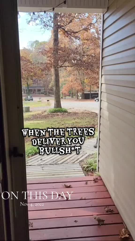 @thewoodveteran