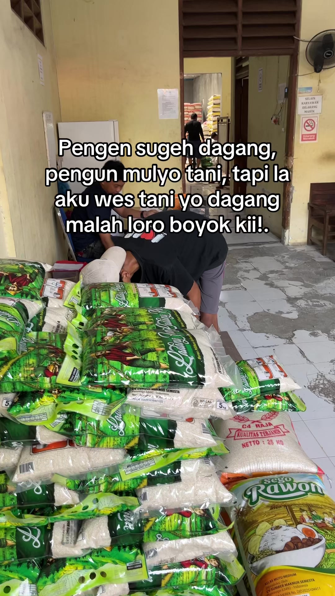 @DISTRIBUTOR BERAS JOGJA