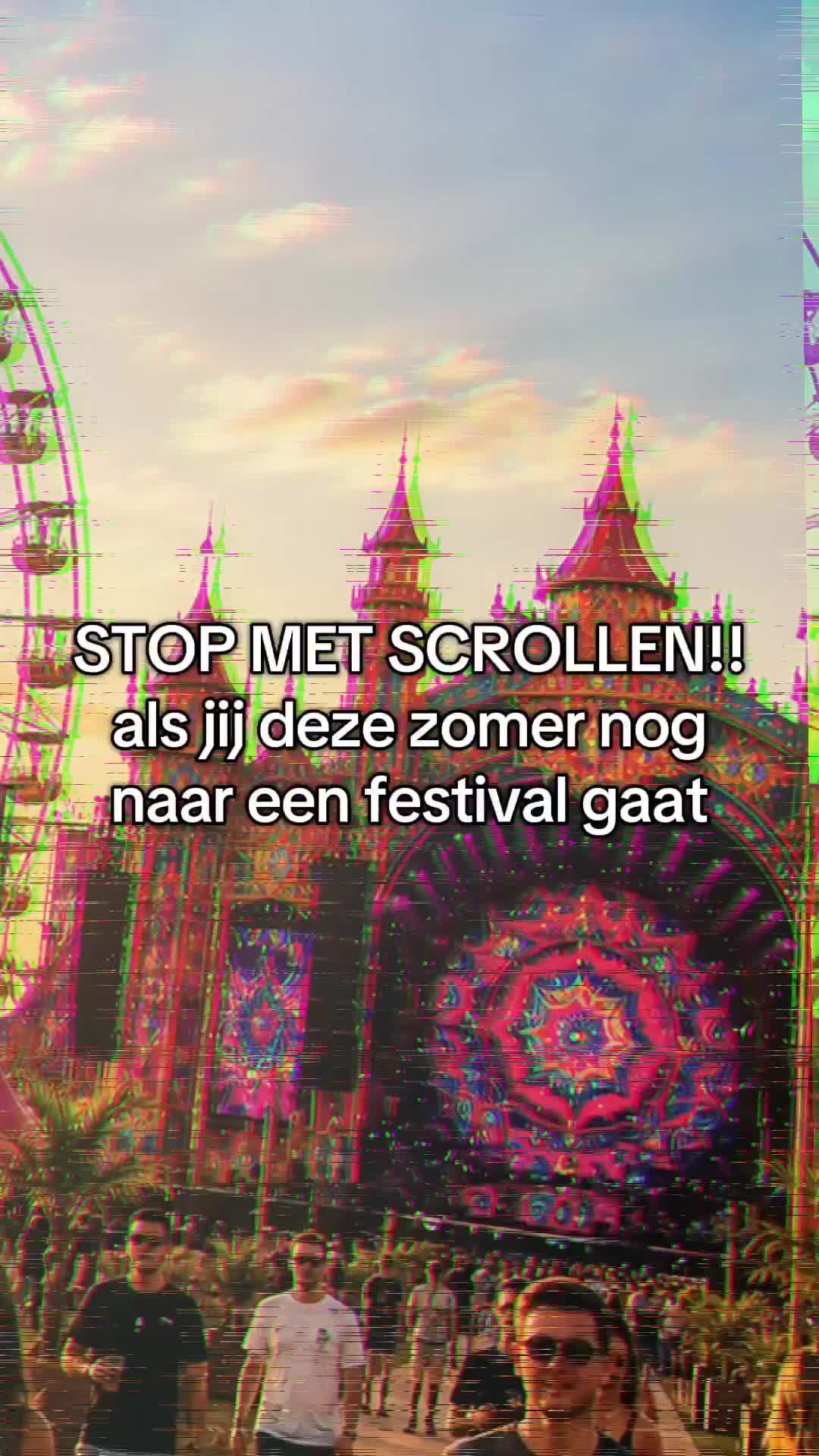 @Festival Supply