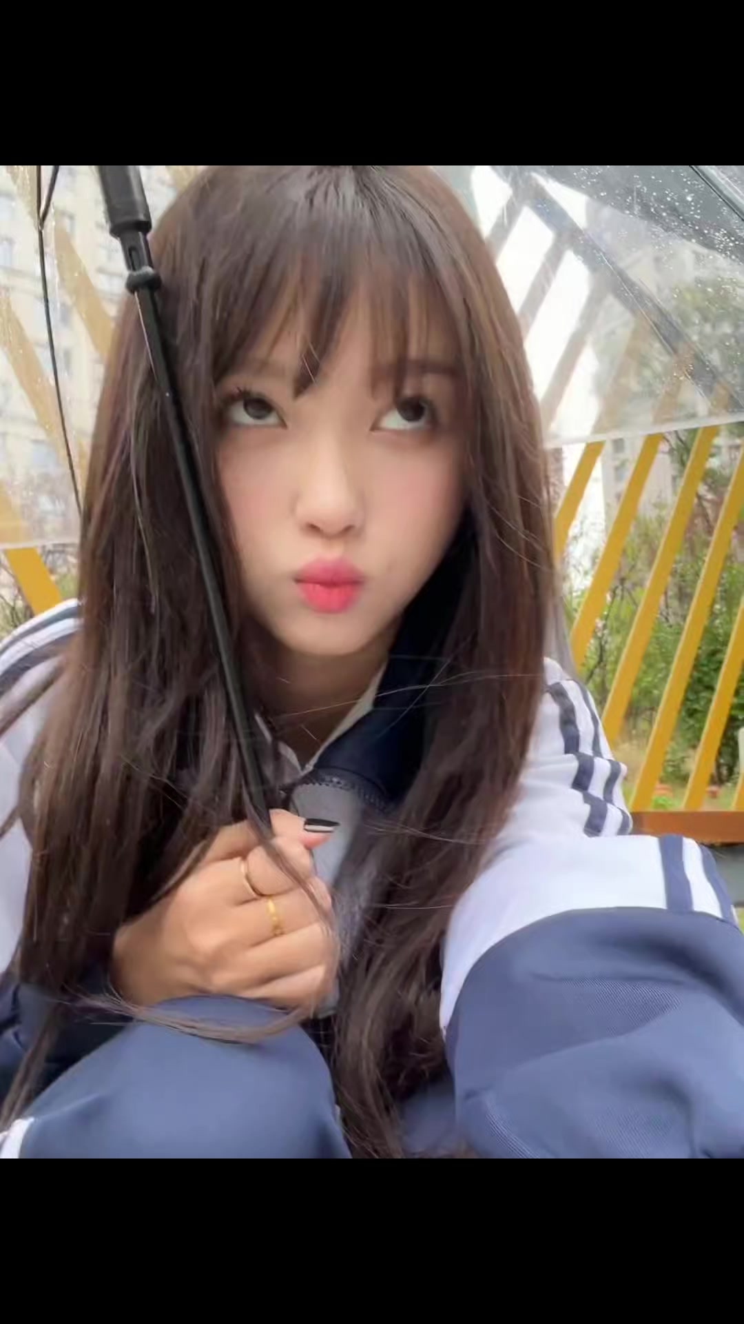 @🍁 王涵 🍁