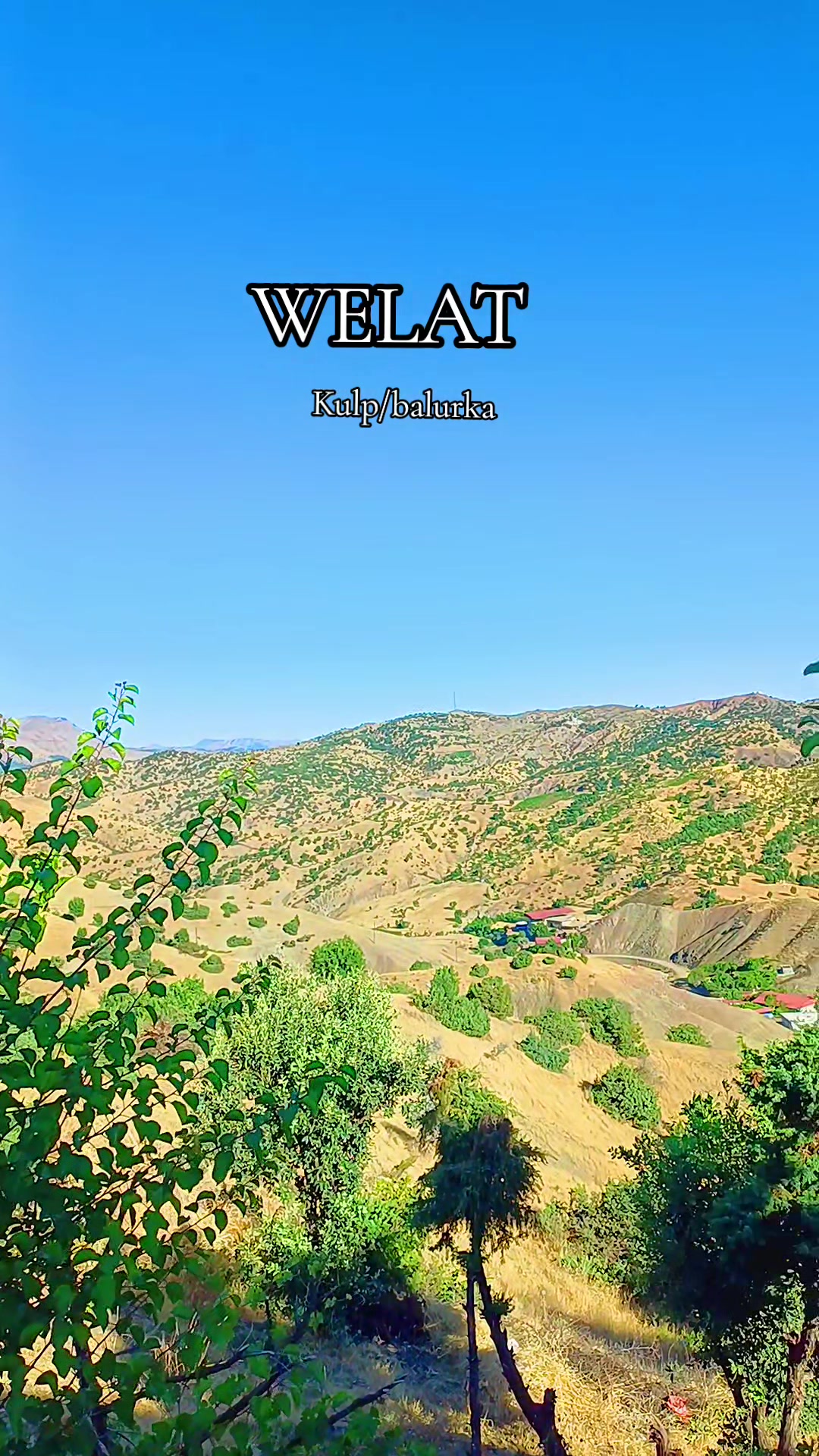 @Dilan çetin