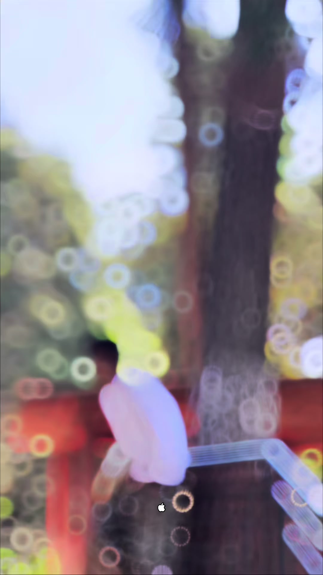 @ᴡʜƳ Ɲᴏᴛ Ɱe ?