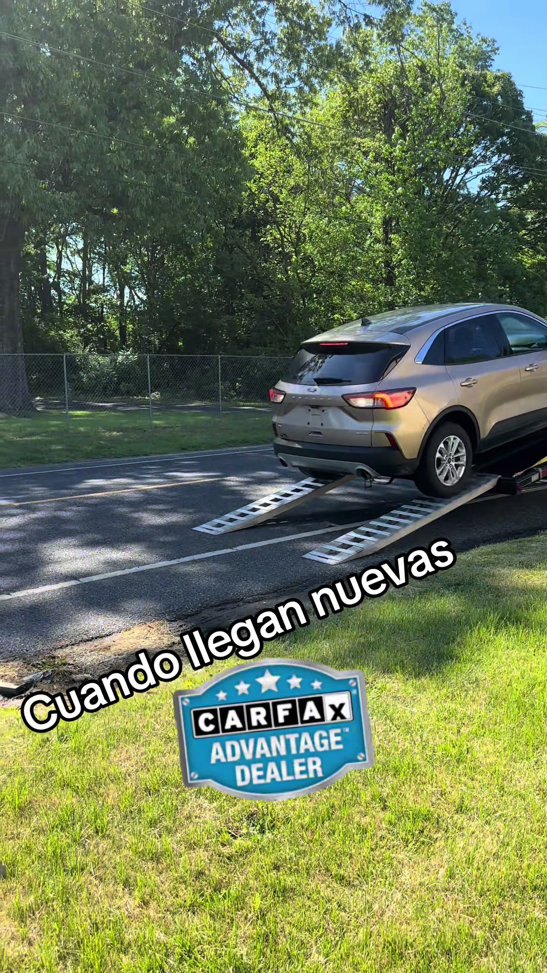 @Ángel