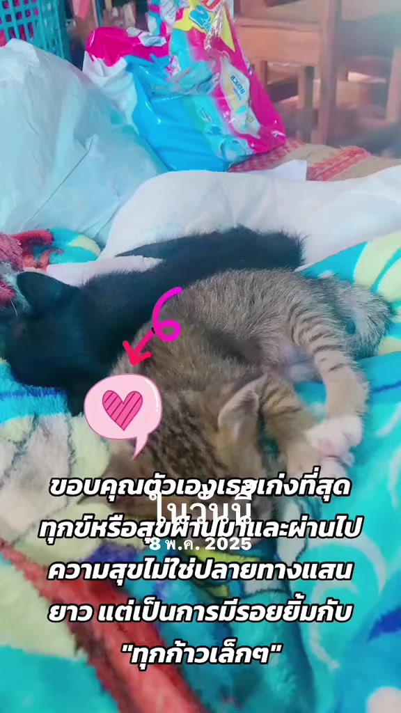@Pupu4990